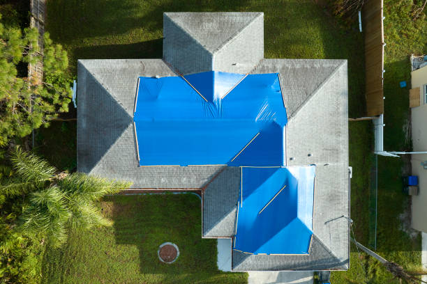 Best Roof Leak Repair  in Northville, MI