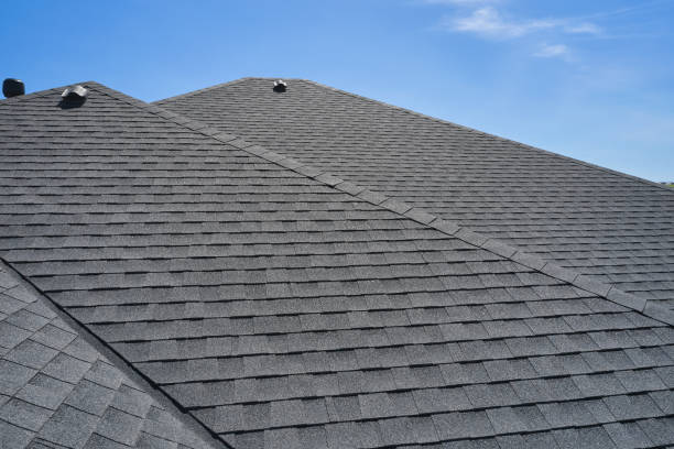 Best Roof Moss and Algae Removal  in Northville, MI