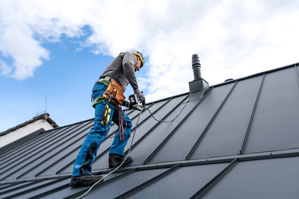 Best Asphalt Shingle Roofing  in Northville, MI