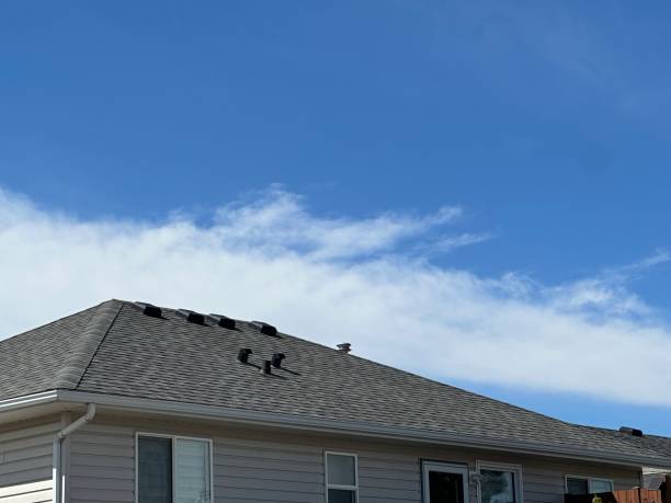 Best Roof Insulation Installation  in Northville, MI